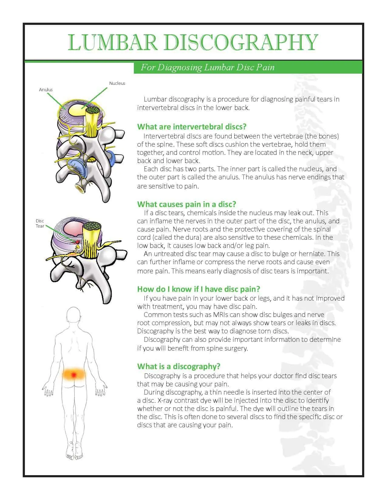 Discography Lumbar 2018-page-001